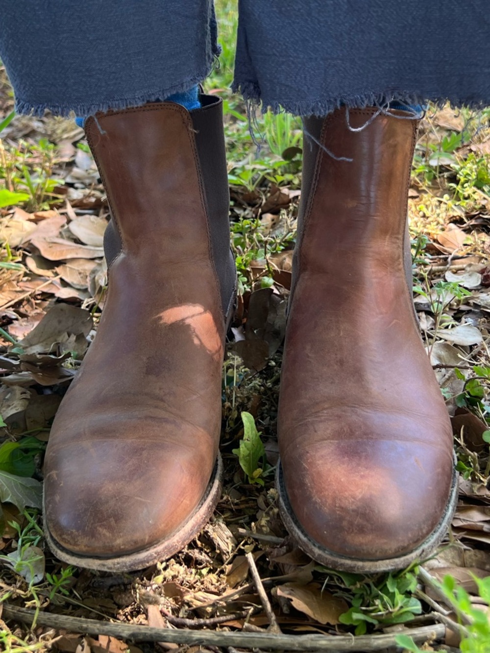 Frye Brown Leather Chelsea Ankle Boots